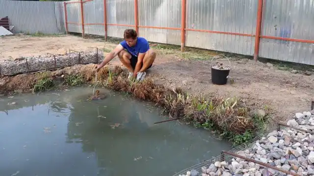 После посадки, на первое время разместить ёмкости с нимфеями в водоёме нужно так, чтобы от поверхности до точки роста было 10-15 см. Это можно сделать, как установив их просто на мелководье, так и подвесив в воде на какие-нибудь опоры