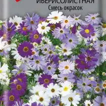 Брахикома иберисолистная Смесь окрасок