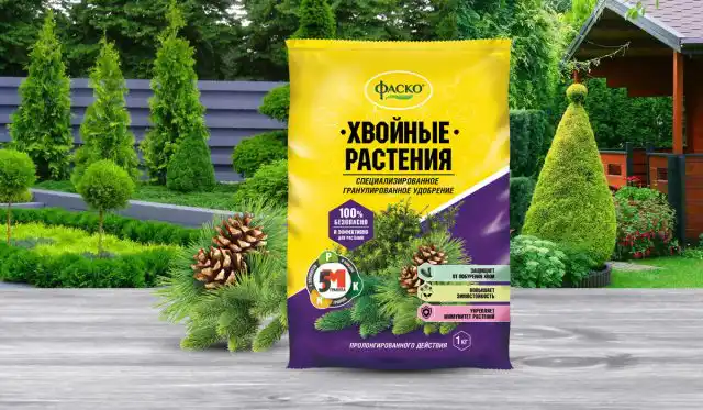 При подготовке почвы под посадку используют различные почвоулучшители и вносят удобрения универсальные или предназначенные для определённой группы видов, например, ФАСКО 5М-гранула для хвойных растений