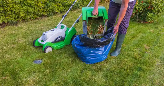 Клещи в ранний весенний период держатся, в основном, на прошлогодней сухой траве, нижних ветвях кустарников и деревьев.