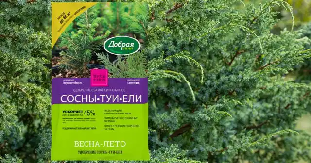 Лучше под можжевельник 1-2 раза в сезон внести мягкое пролонгированное удобрение Сосны-Туи-Ели Добрая сила, чем заливать его концентрированными растворами классических минеральных соединений.