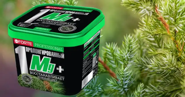 Очень полезно одну подкормку провести удобрением Супер Магний Bona Forte – 4-6 г на небольшое растение и 10-12 на крупное.