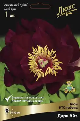 ИТО-Пион «Дарк Айз» (Paeonia Itoh ‘Dark Eyes’)
