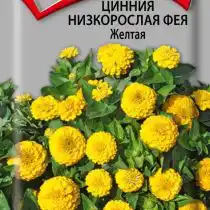 Цинния низкорослая Фея Желтая