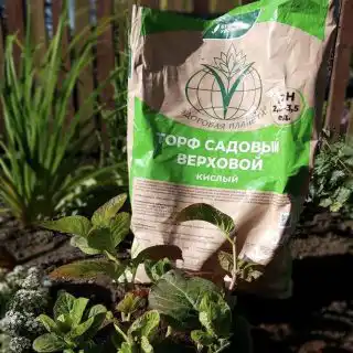 Почвенная смесь на основе верхового торфа «Здоровая планета» от Буйского химического завода