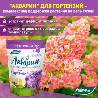 «Акварин для гортензий»