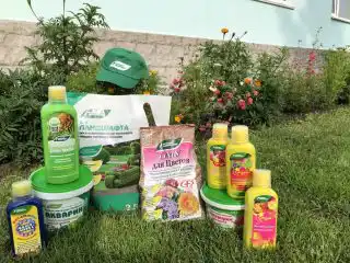 Минеральные удобрения для декоративных растений и ландшафта