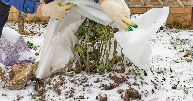 Самый надёжный вариант – воздушно-сухие укрытия с крышей и стенками из плохопроницаемых материалов, вроде плёнки, рубероида, фанерных или железных щитов.