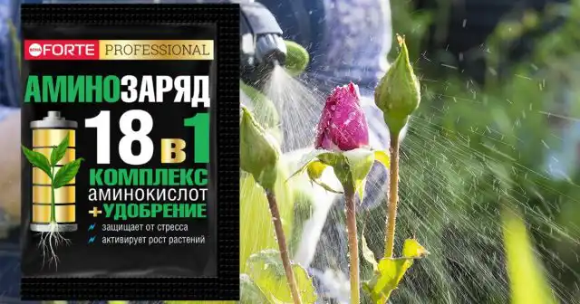 Мы рекомендуем для подкормок по листу водорастворимый комплекс Bona Forte с аминокислотами «Аминозаряд».