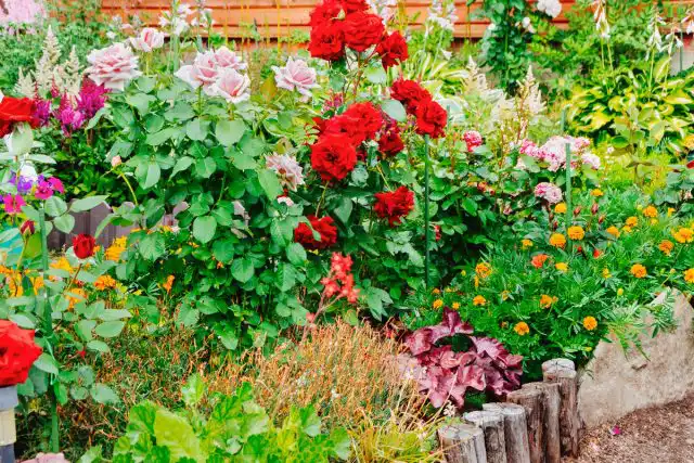 Хорошо смотрятся смешанные цветники, если в них внесены вертикали