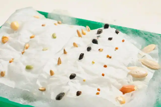 Тест на всхожесть методом проращивания