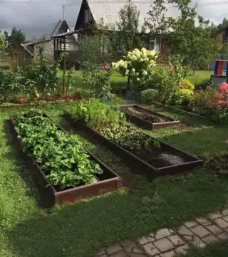 Грядки из ПВХ на участке