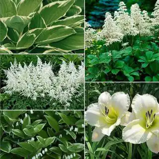 Вариант оформления в белом цвете