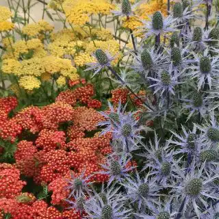 Контраст цветов в оформлении