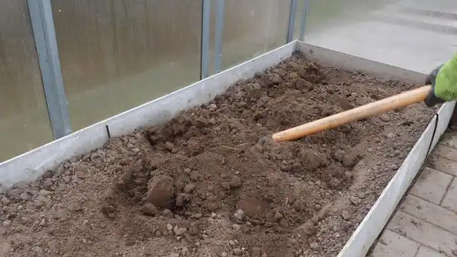 Подготовка грядки проводится как обычно