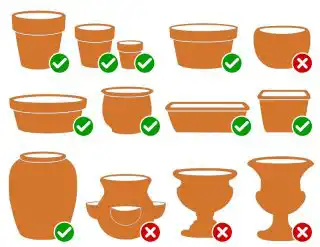 Горшки для зимовки растений на улице