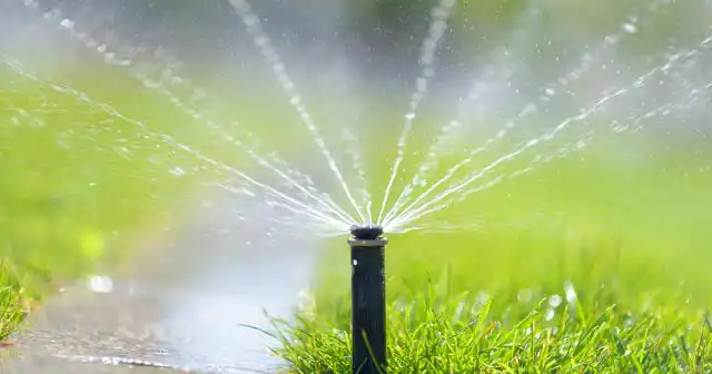 Чтобы любое удобрение работало наиболее эффективно, его необходимо вносить максимально равномерно и по влажной почве.