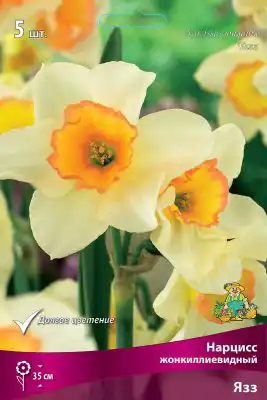Нарцисс «Язз»