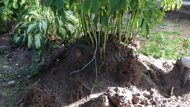 Як правильно розділити та