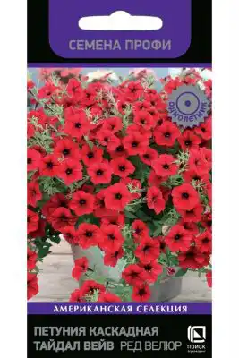 Петуния каскадная «Тайдал Вейв Ред Велюр»