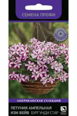 Петуния ампельная «Изи Вейв Бургунди Стар»