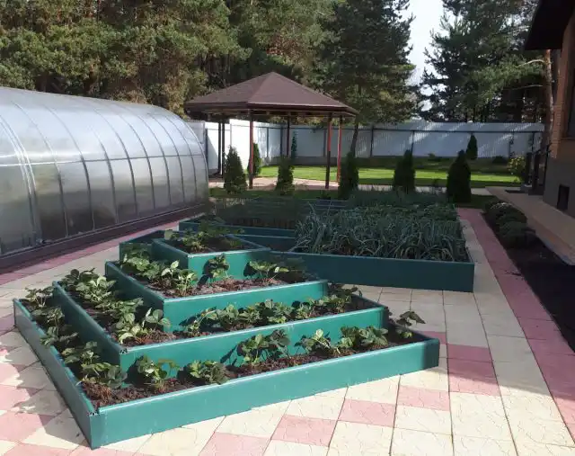 Вариант оформления грядок «Альпийская горка»