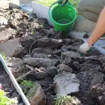 Перекопайте участок земли на штык лопаты и удалить дерновый слой