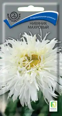 Нивяник «Махровый»