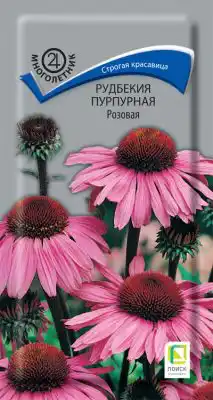 Рудбекия пурпурная «Розовая»