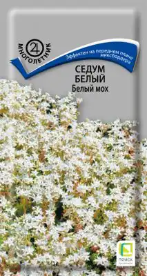 Седум белый «Белый мох»