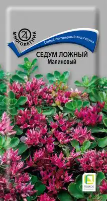 Седум ложный «Малиновый»