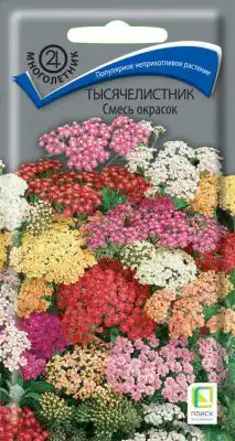 Тысячелистник «Смесь окрасок»
