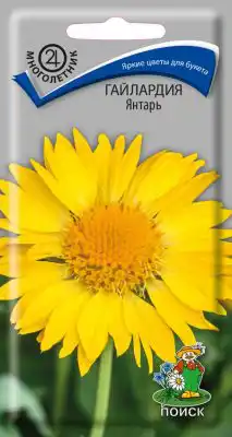 Гайлардия «Янтарь»