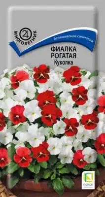 Фиалка рогатая «Куколка»