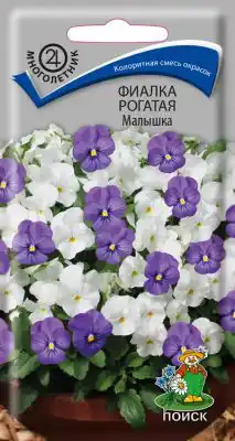 Фиалка рогатая «Малышка»