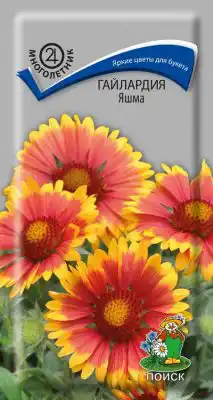 Гайлардия «Яшма»