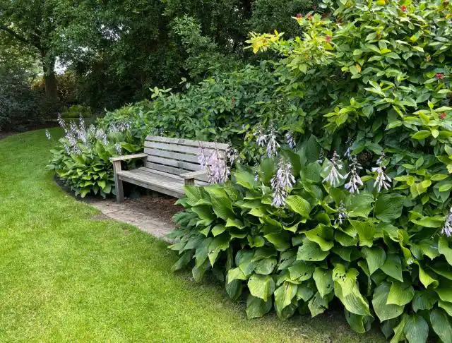 Подчеркнуть естественную природную красоту сада, сложившуюся годами, призваны сложные многоуровневые живые изгороди.