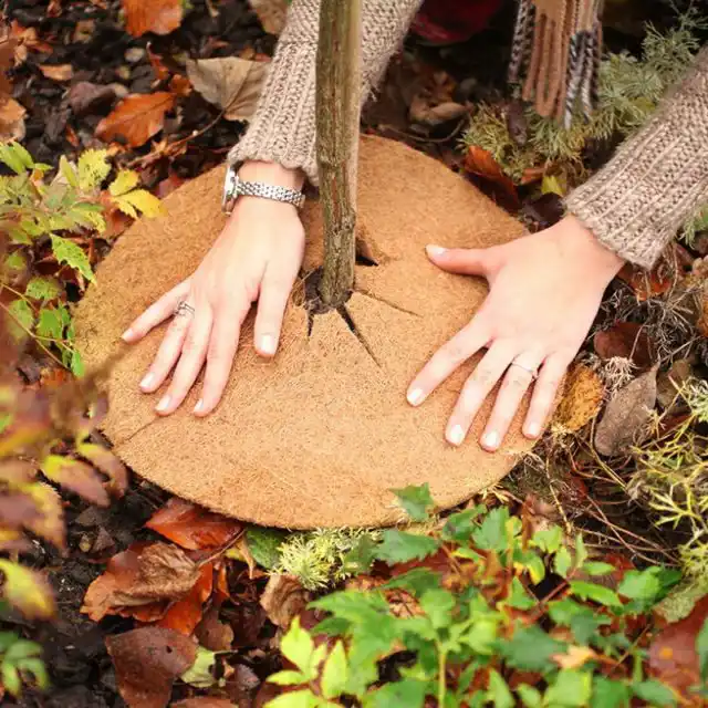 Кокосовое волокно на приствольном круге