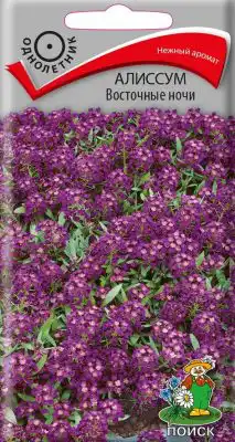 Семена растения Алиссум «Восточные ночи»