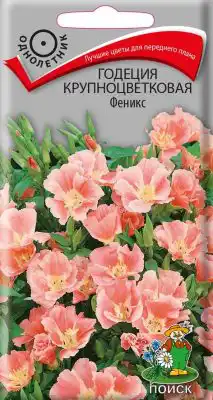 Семена растения Годеция крупноцветковая «Феникс»
