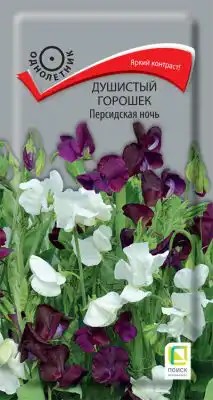 Семена растения душистый горошек «Персидская ночь»