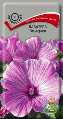 Семена растения лаватера «Сильвер Кап»