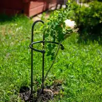 Низкая опора для роз и цветов
