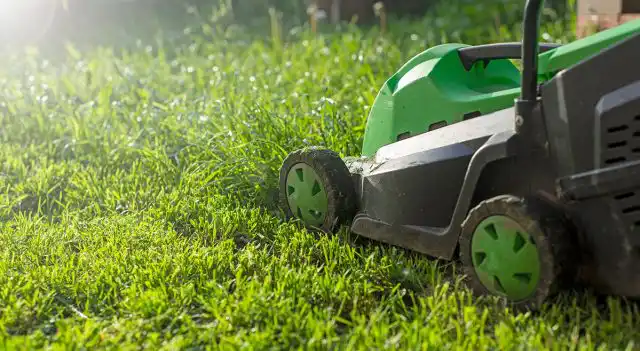 Красивый газон –всегда ухоженный и подстриженный