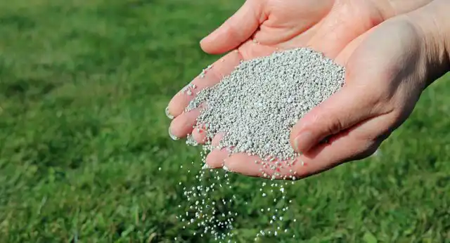 Удобрять нужно с умом и только проверенными средствами