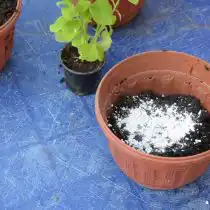 Насыпьте на дно дренаж и наполните емкость грунтом