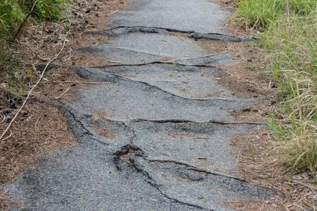 Волны на поверхности бетона являются признаками разрушения его деревьями
