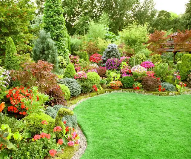 Английский миксбордер