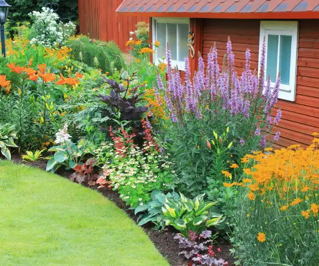 Миксбордер у стены