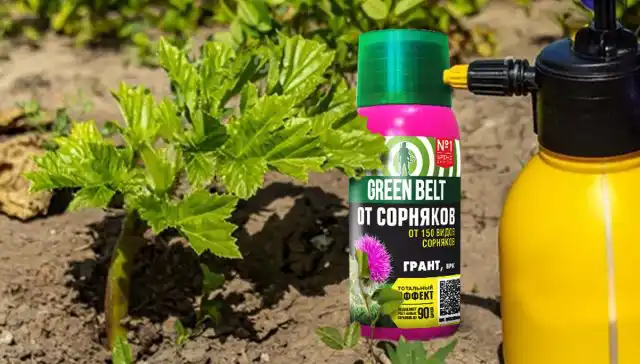 Препарат «Грант» представляет собой смесь из двух гербицидных соединений сплошного действия – имазамокса и имизапира.